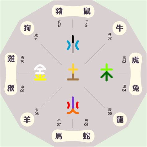 子 五行 屬性|子字五行属什么